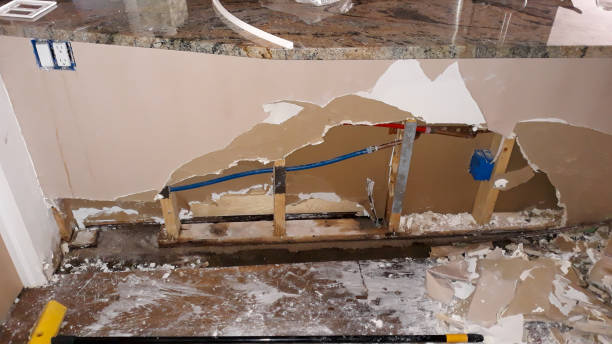Best Ceiling water damage repair  in Alpine, UT