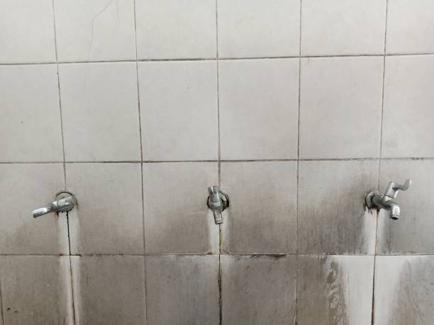 Best Flood damage cleanup  in Alpine, UT
